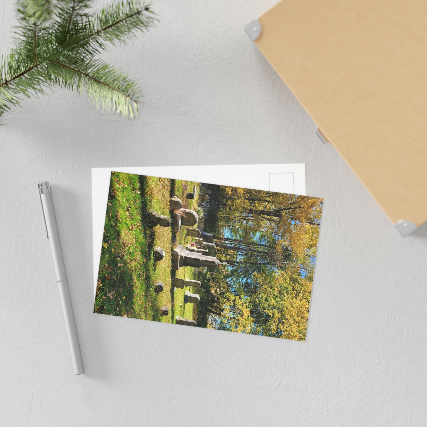 Pine Knot Cemetery Fine Art Postcards