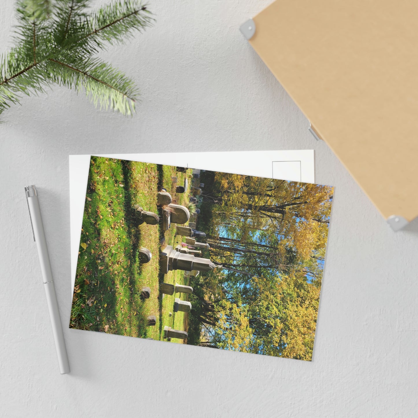 Pine Knot Cemetery Fine Art Postcards